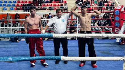 Selçuk Üniversitesi sporcularından kick boksta 5 madalya